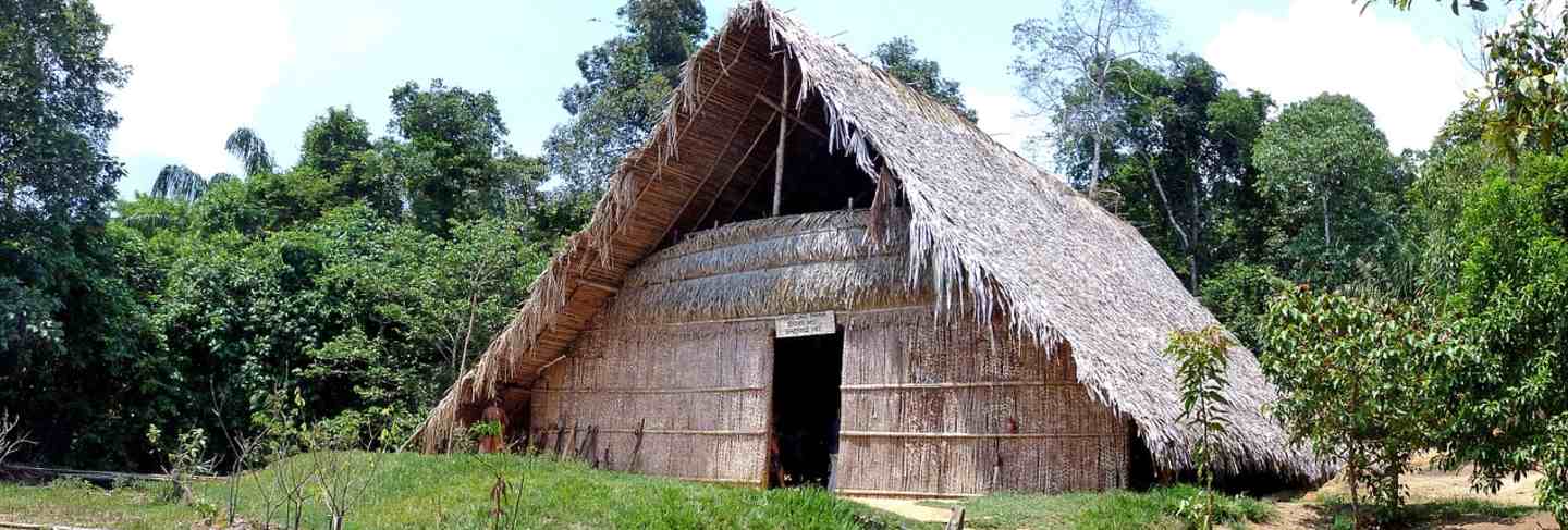 Hut brazil rainforest amzonas nature tropical
