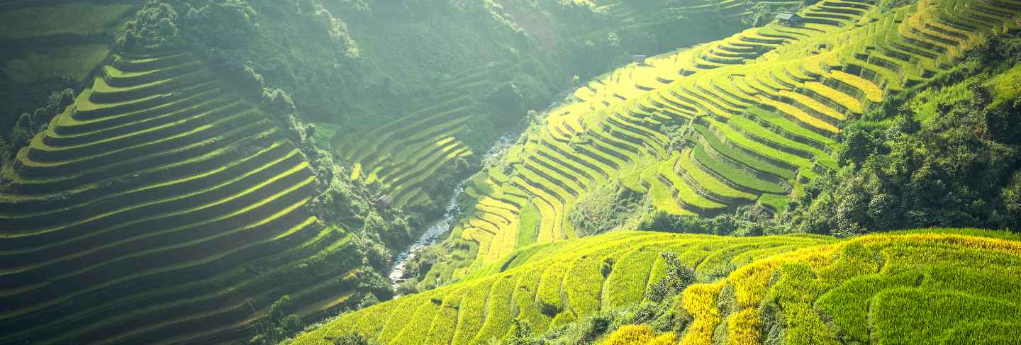 Beautiful view of rice terrace at mu cang chai, vietnam
