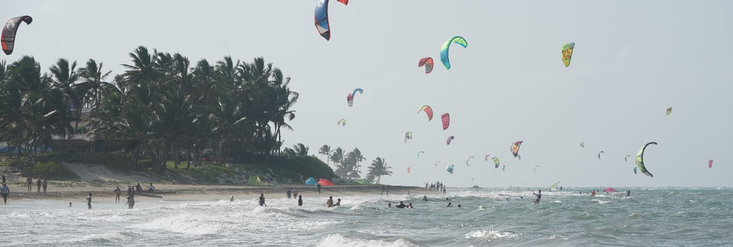 People kiteboarding on a beach near the trees in the dominican republic
