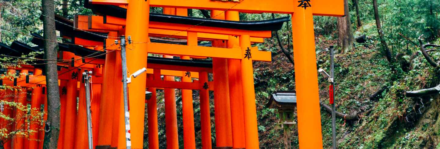 Walkway fushimi inari red torii in japan 
