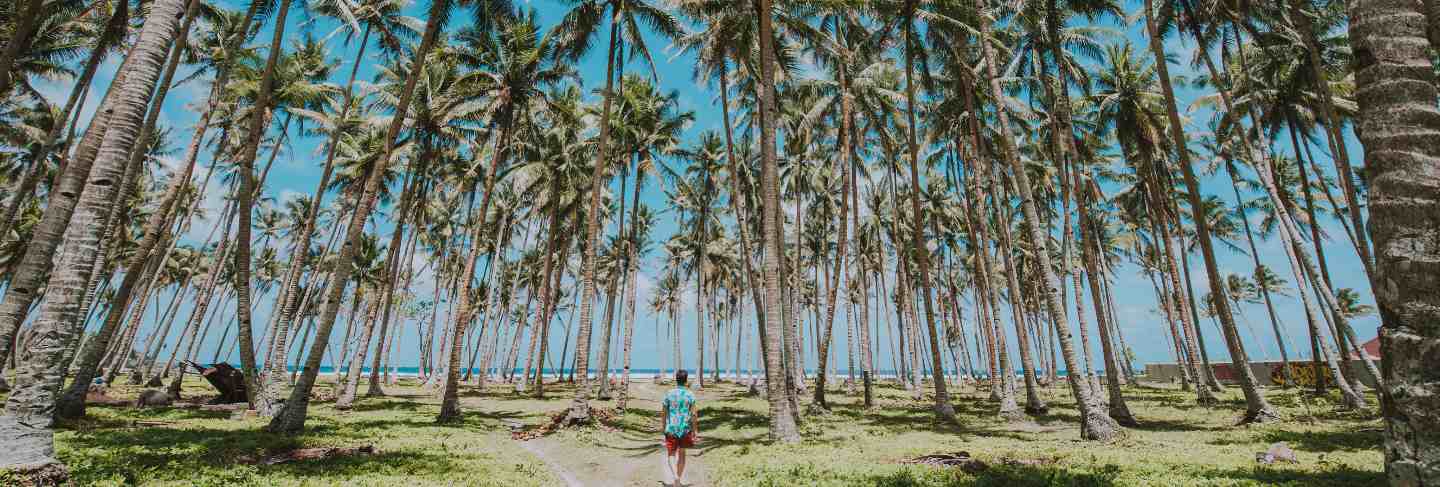 Man standing on the beach and enjoying the tropical place with a view. caribbean sea colors and palm trees in the background.
