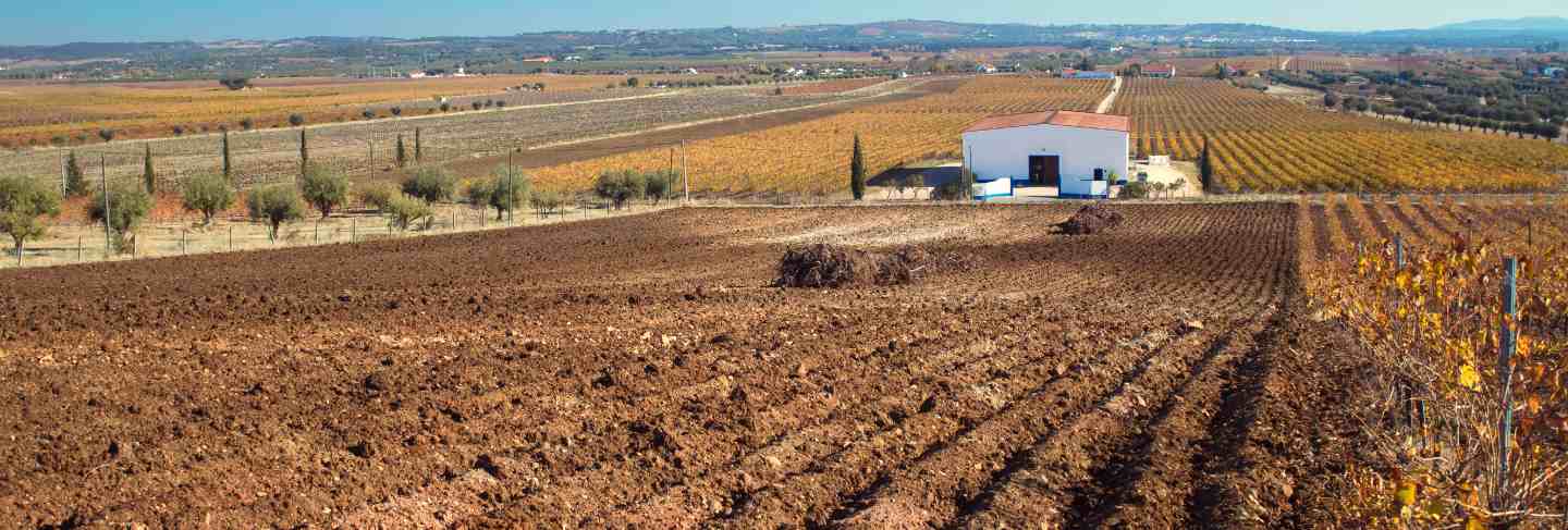 Preparation of field with fresh ground
